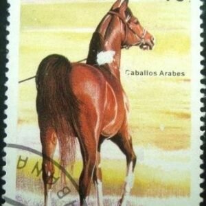 Selo postal Cuba 1995 Chestnut Arabian Horse