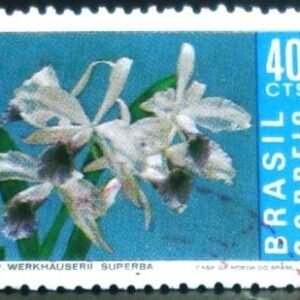 Selo postal do Brasil de 1971 Laelia