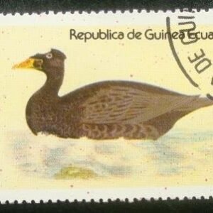 Selo postal da Guiné Equatorial de 1978 Common Scoter