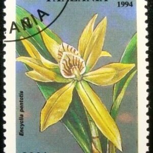 Selo postal da Tanzânia de 1994 Cyrtanthus