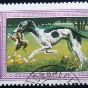 Selo postal da Hungria de 1972 Hungarian Greyhound