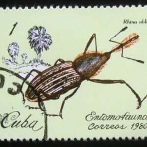 Selo postal do Cuba de 1980 Weevil