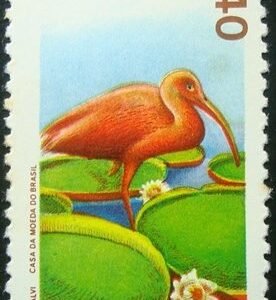 Selo postal do Brasil de 1973 Guará e Vitória Régia