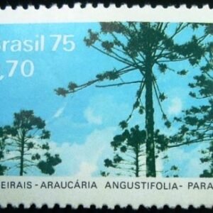Selo postal Comemorativo do Brasil de 1975 - C 892 N