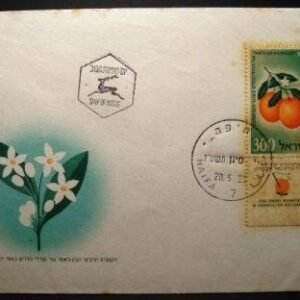 Imagem do produto ofertado - Se desejar peça mais detalhes