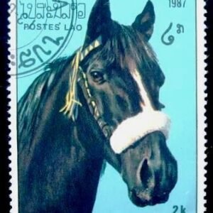 Selo postal da República do Laos de 1987 Horse