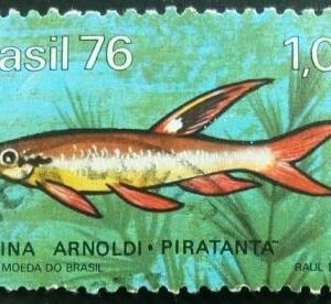 Selo Postal Comemorativo do Brasil de 1976 - C 940 U