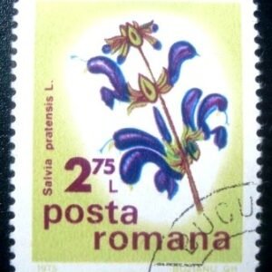 Selo postal da Romênia de 1975 Meadow Sage