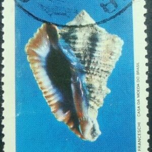 Selo postal do Brasil de 1977 Vasum Cassiforme