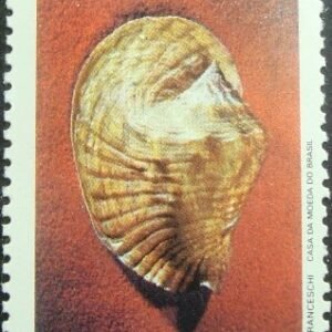 Selo postal do Brasil de 1977 Strombus Goliath