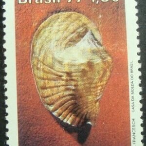 Selo postal do Brasil de 1977 Strombus Goliath - C 993 N