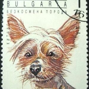 Selo postal da Bulgária de 1991 Hybrid