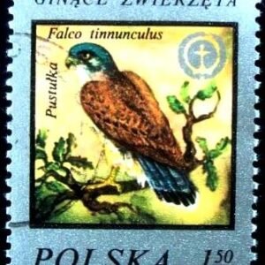 Selo postal da Polônia de 1977 Common Kestrel