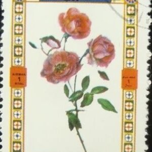 Selo postal de Umm Al Qaiwain de 1972 Roses 1446 A