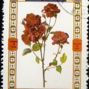Selo postal do Umm Al Qaiwain de 1972 Roses 1438A