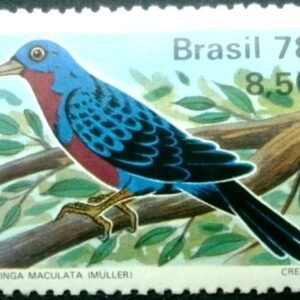 Selo postal do Brasil de 1978 Cotinga M