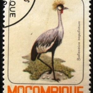 Selo postal de Moçambique de 1980 Grey Crowned Crane