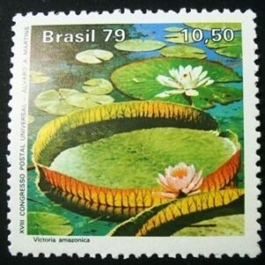 Selo postal do Brasil de 1979 Victoria Amazônica - C 1091 N
