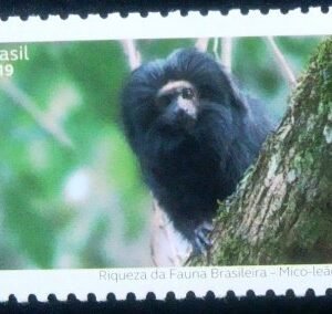 Selo postal do Brasil de 2019 Mico-leão-preto
