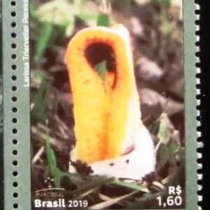 Selo postal do Brasil de 2019 Clathrus Columnatus
