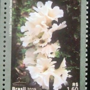 Selo postal do Brasil de 2019 Hydnopolyporus Fimbriatus