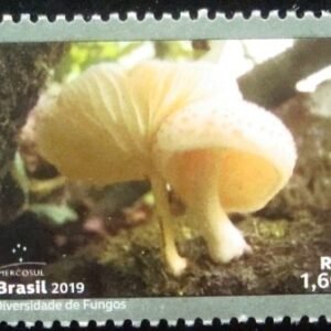 Selo postal do Brasil de 2019 Oudemansiella Cubensis