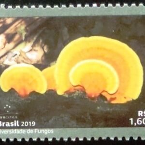 Selo postal do Brasil de 2019 Laetiporus Gilbertsonii