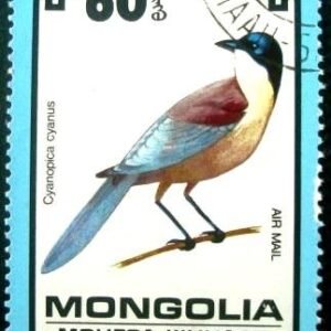 Selo postal da Mongólia de 1979 Azure-winged Magpie NCC