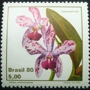 Selo postal do Brasil de 1980 Catleya
