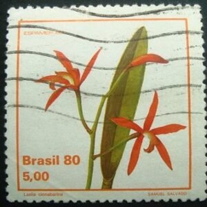 Selo postal COMEMORATIVO do Brasil de 1980 - C 1163 U