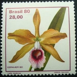 Selo postal COMEMORATIVO do Brasil de 1980 - C 1165 N