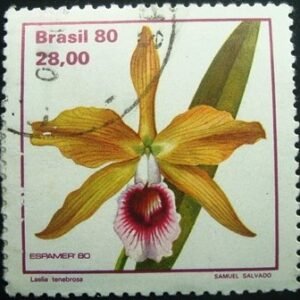 Selo postal COMEMORATIVO do Brasil de 1980 - C 1165 U