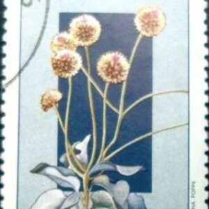 Selo postal do Brasil de 1981 Eremanthus - C 1220 U