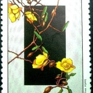 Selo postal do Brasil de 1981 Cássia - C 1221 N