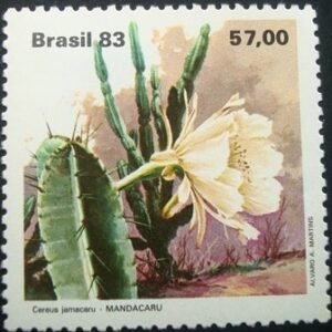 Selo postal do Brasil de 1983 Mandacaru