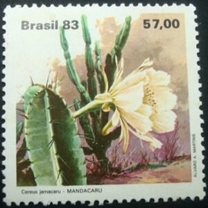 Selo postal do Brasil de 1983 Mandacaru