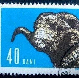 Selo postal da Romênia de 1962 Merino Ram