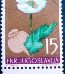 Selo postal da Iuguslávia de 1955 Opium Poppy