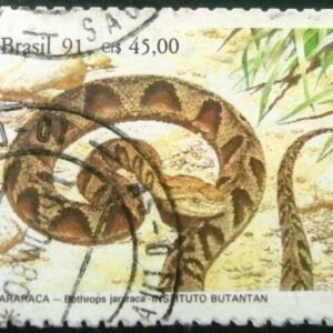 Selo postal COMEMORATIVO do Brasil de 1991 - C 1737 U