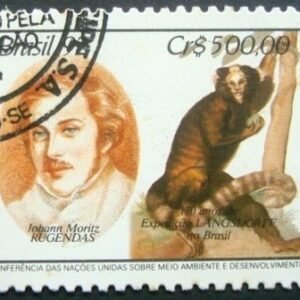 Selo postal COMEMORATIVO do Brasil de 1992 - C 1796 MCC