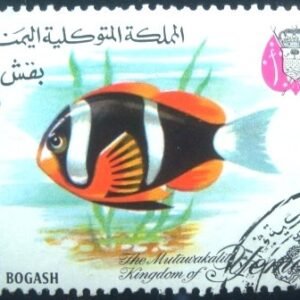 Selo postal do Reino do Iêmen de 1967 Yellowtail Anemonefish