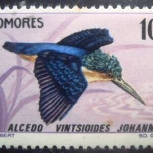 Selo postal de Comores de 1967 Madagascar Kingfisher