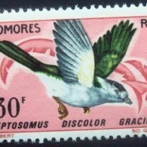 Selo postal de Comores de 1967 Comoro Cuckoo Roller