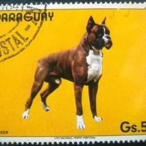 Selo postal do Paraguai de 1984 German Boxer