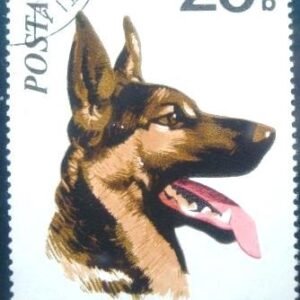 Selo postal da Romênia de 1971 German Shepherd