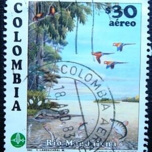 Imagem do produto ofertado - Se desejar peça mais detalhes