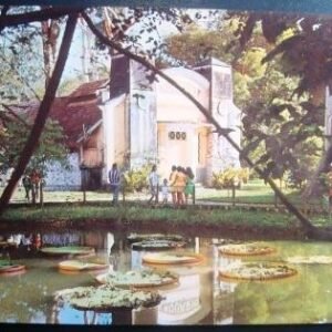 Cartão postal do Brasil Museu Emílio Goeldi