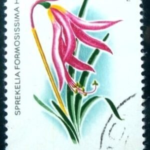 Selo postal da Romênia de 1980 Jacobean Lily