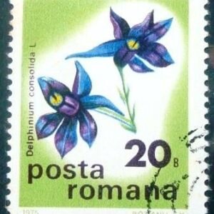 Selo postal da Romênia de 1975 Larkspur