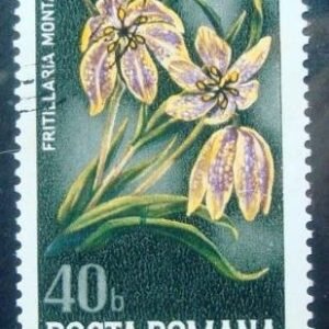 Selo postal da Romênia de 1961 Fritillary